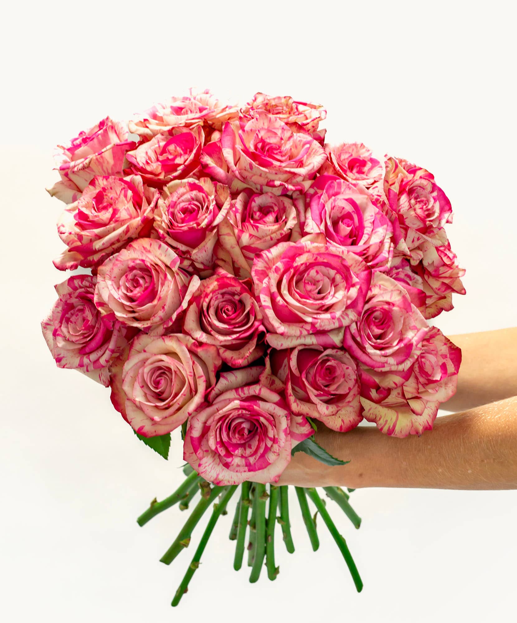 A stunning bouquet of pink and cream roses with delicate striped petals, perfect for gifting.